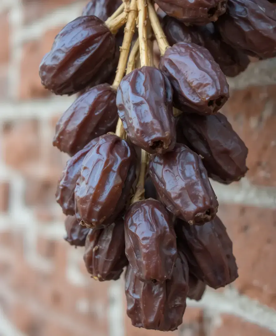 Madinah Munawra Madinah, the City of the Prophet, shines bright A beacon of faith, where Islam's history takes flight The Masjid an-Nabawi, a mosque of grandeur and might Where the Prophet Muhammad's tomb is a sacred sight The city's streets are lined with date palms, green and tall A tranquil oasis, where faith and peace enthrall Madinah's rich history and heritage are palpable and real A place where Muslims from all over the world come to feel The city's warm hospitality and welcoming smile Make it a place of pilgrimage, worth traveling a long while #plztiktokteamdontunderviewmyvideos #foryoupage 