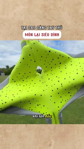 #giaitri #fyp #kienthuc 