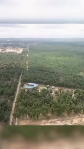 Kementerian Kehutanan bersama Polri membentuk satgas gabungan untuk menyelidiki dugaan praktik illegal logging yang diduga menjadi pemicu banjir di Sumatera. Dalam konferensi pers di Mabes Polri, Jakarta, Kamis (4/12), Menteri Kehutanan Raja Juli Antoni menjelaskan bahwa pihaknya telah melakukan pemindaian udara menggunakan drone dan analisis anatomi kayu dengan teknologi AIKO. Kemenhut juga sudah mengantongi daftar perusahaan yang diduga terlibat, dan memastikan pendalaman terus dilakukan untuk mengetahui sumber penebangan liar tersebut. Polri menemukan sejumlah indikasi awal, termasuk jejak alat potong seperti chainsaw di dua wilayah, yakni Garoga, Tapanuli Utara dan Anggoli, Tapanuli Tengah, yang kini menjadi fokus pemeriksaan. Sebelumnya dalam rapat bersama DPR RI, Raja Juli Antoni menyebut ada 12 perusahaan yang terindikasi melakukan pembalakan liar di Sumatera. Satgas gabungan kini menelusuri area terdampak dari hulu hingga hilir untuk memastikan asal usul kayu yang terbawa banjir. #PembalakanLiar #BanjirSumatera #Kemenhut #Polri #SatgasGabungan   Video : ANTARA/Irfansyah Naufal Nasution/Arif Prada Editor : Nada Ignacia