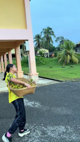 Mangah amai urang ke nyual buah sibau . Bisi ka meli buah sibau kitak ?