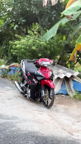 #siriusđộkiểng #xuhuongtiktok 