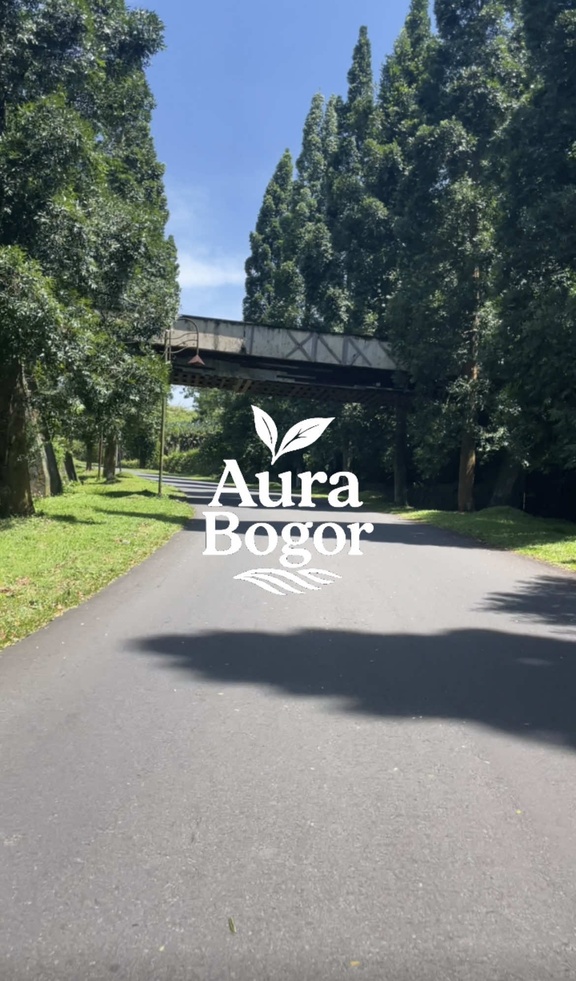 Bagian 73 | Dulu, datang rame-rame, ketawa sampai lupa waktu. Sekarang.. Lucu ya, tempatnya sama, tapi rasanya beda banget huhu #bogoraura #alternatifpuncak #bukitpelangi #gununggeulis #jalurpuncak 