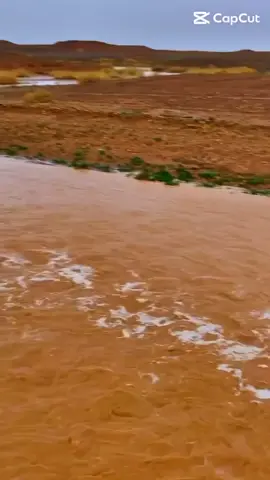 #قصايد_شعر_خواطر_شيلات_الاكسبلور #طلعات_الشتاء 