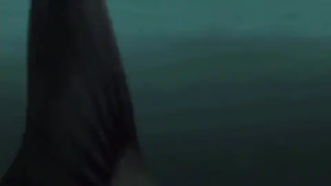 Anime fishing become reality😎 Tak tengok habis rugi oiiii🤤 #daiwa #yellowfintuna #popping #reelscreaming #reelcrazy 