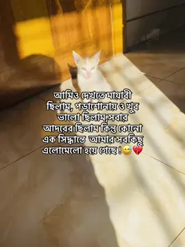 😅💔#tiktok #foryou @TikTok Bangladesh 