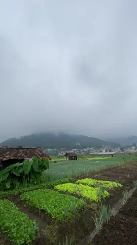 Batu setelah hujan, dingin tapi candu:) #promomakanharian #batumalang #batu 