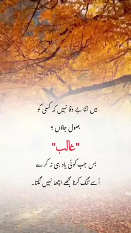 #He does not feel good to me💔😭🥀💯. #potterytiktok #foryoupage❤️❤ #ghazal #mirzaghalib.tiktoktrend.fyppp... 