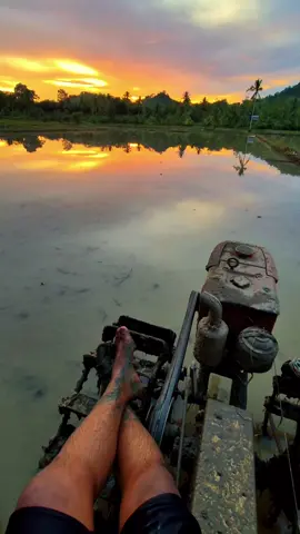 vibes sawah🌅 #storytime #petanimuda #CapCut #fypage #sunset 