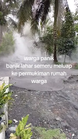 Hari ini 5Des2025#Banjerlaharsemeru#Banjerlaharsemeru#Banjerlavasemeru#fyppppppppppppppppppppppp 