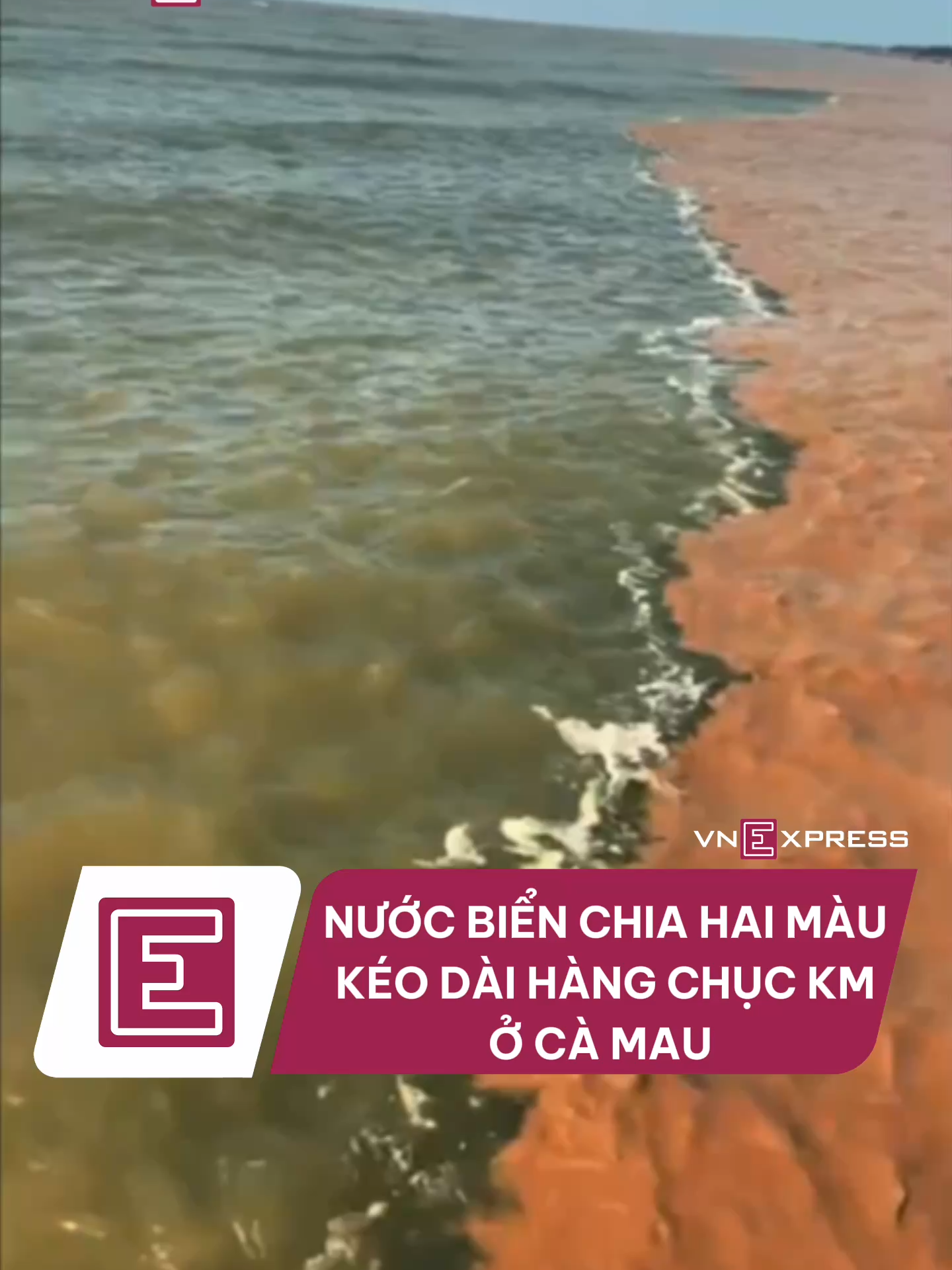 Biển Cà Mau gần đây xuất hiện hiện tượng hai màu nước kéo dài hàng chục kilômét: một bên xanh, một bên nâu đỏ. Nguyên nhân được xác định là do nước ngọt từ nội đồng chứa phèn và phù sa được xả ra biển trong mùa mưa và mùa sạ lúa. Khi nguồn nước này chảy ra ngoài khơi, do chênh lệch độ mặn và khối lượng riêng, hai dòng nước không hòa lẫn ngay, tạo nên dải ranh giới rõ rệt giữa hai màu. Chính quyền địa phương khẳng định đây là hiện tượng tự nhiên, xuất hiện theo mùa và sẽ kết thúc khi lượng nước xả giảm, không phải dấu hiệu ô nhiễm môi trường. #vnexpress #vne