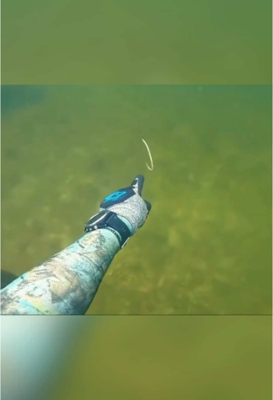 Beware of marine life#marineorganisms#funny#diving#sea#funny#fyp#