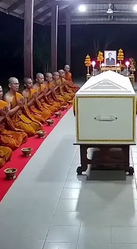 วุ่นทั้งศาลา! สวดอยู่ดีๆ 'แมวเหมียว' โผล่เป็นแขกไม่ได้รับเชิญจากโลงศพ ทำเอาวงแตก! #ข่าวtiktok #เทรนด์วันนี้ #ผี #หลอน 