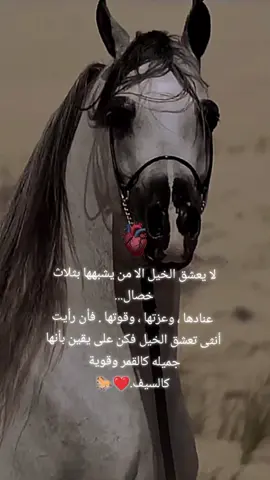 #خيل_وخياله🐎 #تصميم_فيديوهات🎶🎤🎬 #قوالب_كاب_كات #اكسبلورexplore #مجرد________ذووووووق🎶🎵💞 