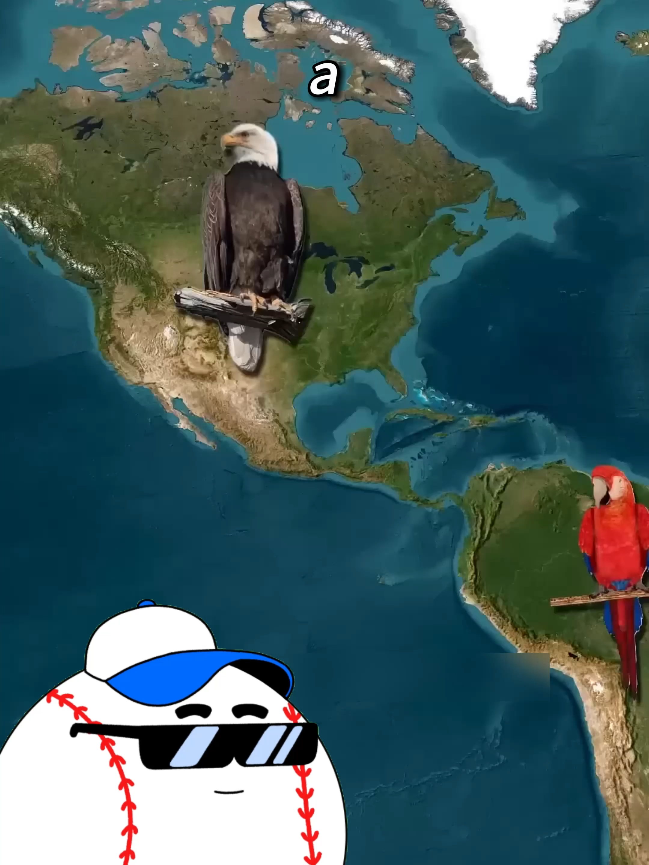 Самое громкое животное в мире. #география #развитие #факты