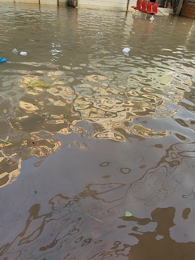 chợ bình thủy cần thơ quê tôi mùa nước ngập  #chợbìnhthủy #cầnthơ #nuocngapcantho #DũngVlogs83 #65cầnthơ 