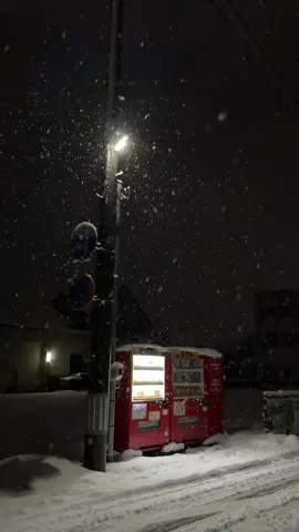 Vibesnya tenang banget❄️🌨️ #kenshuuseijapan🇮🇩🇯🇵 #japanvibes #salju #yuki #kerjadijepang 