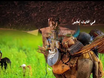 #LIVEFest2025  #في #غايت #نجبر #الاخبار 