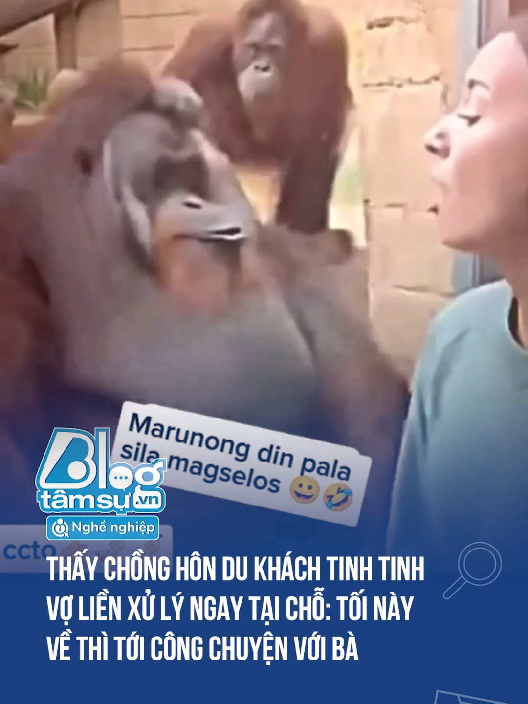 Bả liếc cỡ đó 🤣🤣🤣 #xuhuong #btsmedia #blogtamsu #funfact #discovery #tiktoknews #haihuoc