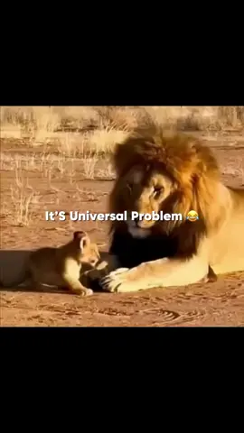 Har aik ko aisa apni wife sa darna cahaya 😁🥲🙂#fictionalcharacters🥹🤌 #fictionalcharacters #likecommentsharecpylink🥰😘 #repostmyvideoplz🙏 #yaramkazmithedavil🥰🖤 