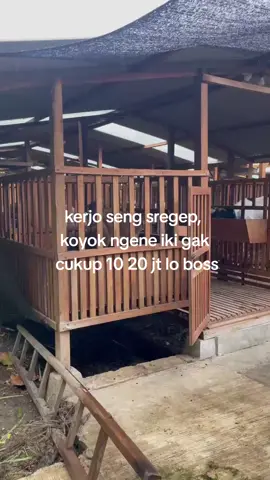 #fypage #viraltiktok #peternaketawa 