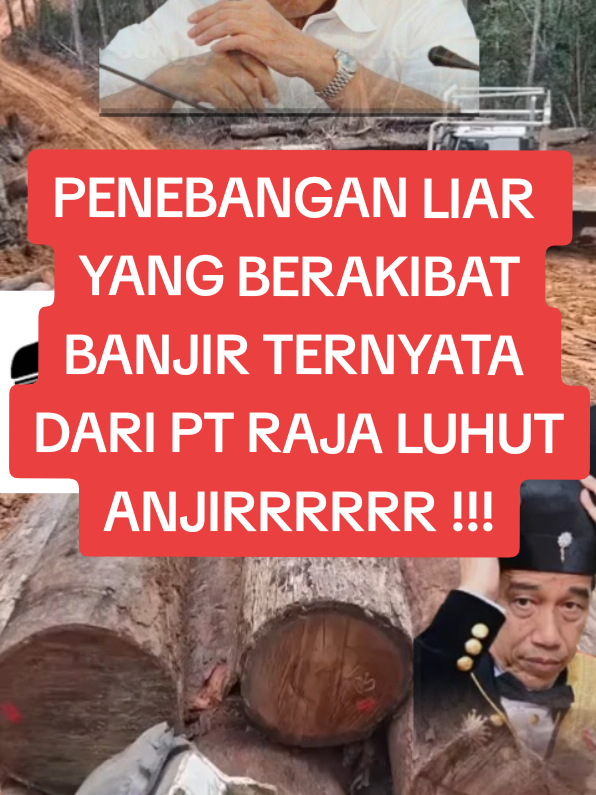 PT Toba pulp/ PT Toba adalah salah satu PT yang melakukan penebangan besar²an terhadap hutan Sumatra, dan pada akhirnya pihak pemerintah sendirilah pelakunya ! rakusnya minta ampun #bencanasumatra #penebanganliar #tapanuli #banjir #viral 