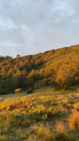 #bhutak2868mdpl #fypシ #fypシ゚viral 