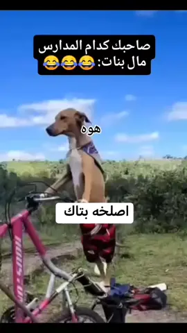 #سويله تاك لصاحبك العفطي 😂😂#باسكلات_لاتعرف_القانون😅✌️ #علقوا_يالمبدعينء💭🔕 #مشاهير_تيك_توك_مشاهير_العرب 