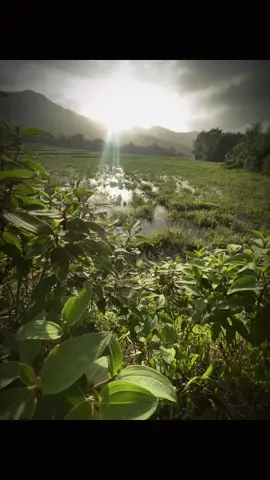 “心可以等,但时间不能等.....总有一天我们会发 现,我们一直在等错误的人。” 