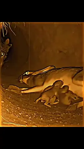 #duet with @RESPECT❤️‍🩹 😅😌😌