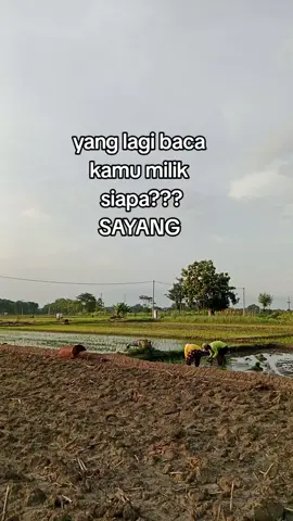 #milik aku apa suamiMu#🤭✌🤣