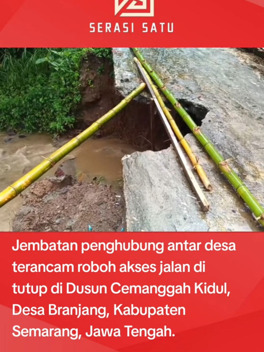 Curah hujan tinggi di wilayah Kabupaten Semarang, Jawa Tengah menyebabkan jembatan penghubung antar desa terancam roboh. Akibatnya jalur penghubung antar wilayah tersebut di tutup. Jembatan sungai Sigandu yang berada di Dusun Cemanggah Kidul, Desa Branjang, Kabupaten Semarang, Jawa Tengah terancam roboh akibat curah hujan tinggi sehingga aliran air sungai mengikis pondasi jembatan dengan panjang sepuluh meter dan lebar tiga meter itu. Jembatan ini merupakan penghubung Desa Branjang dengan Desa Kalisidi. Badan jalan juga tampak berlubang di beberapa bagian sehingga membahayakan pengguna jalan yang melintas.#kabsemarang #serasisatu #beritatiktok #fyppppppppppppppppppppppp 