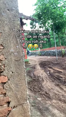 #fyp  nanges kejer🗿😭