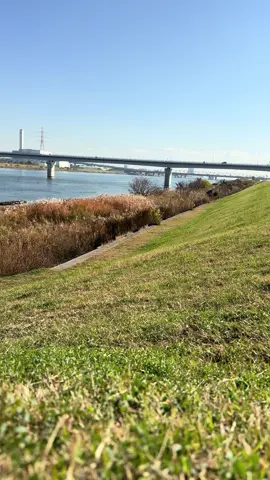 Geunah kieu euy😅#mawarbodas #darso #kenshuseijapan🇮🇩🇯🇵🎌 #tokuteiginou 