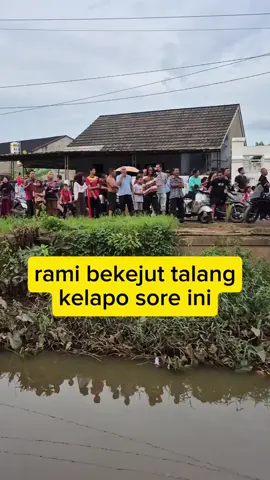 Warga Ngumpul#jangkauan_luas✅✅ 