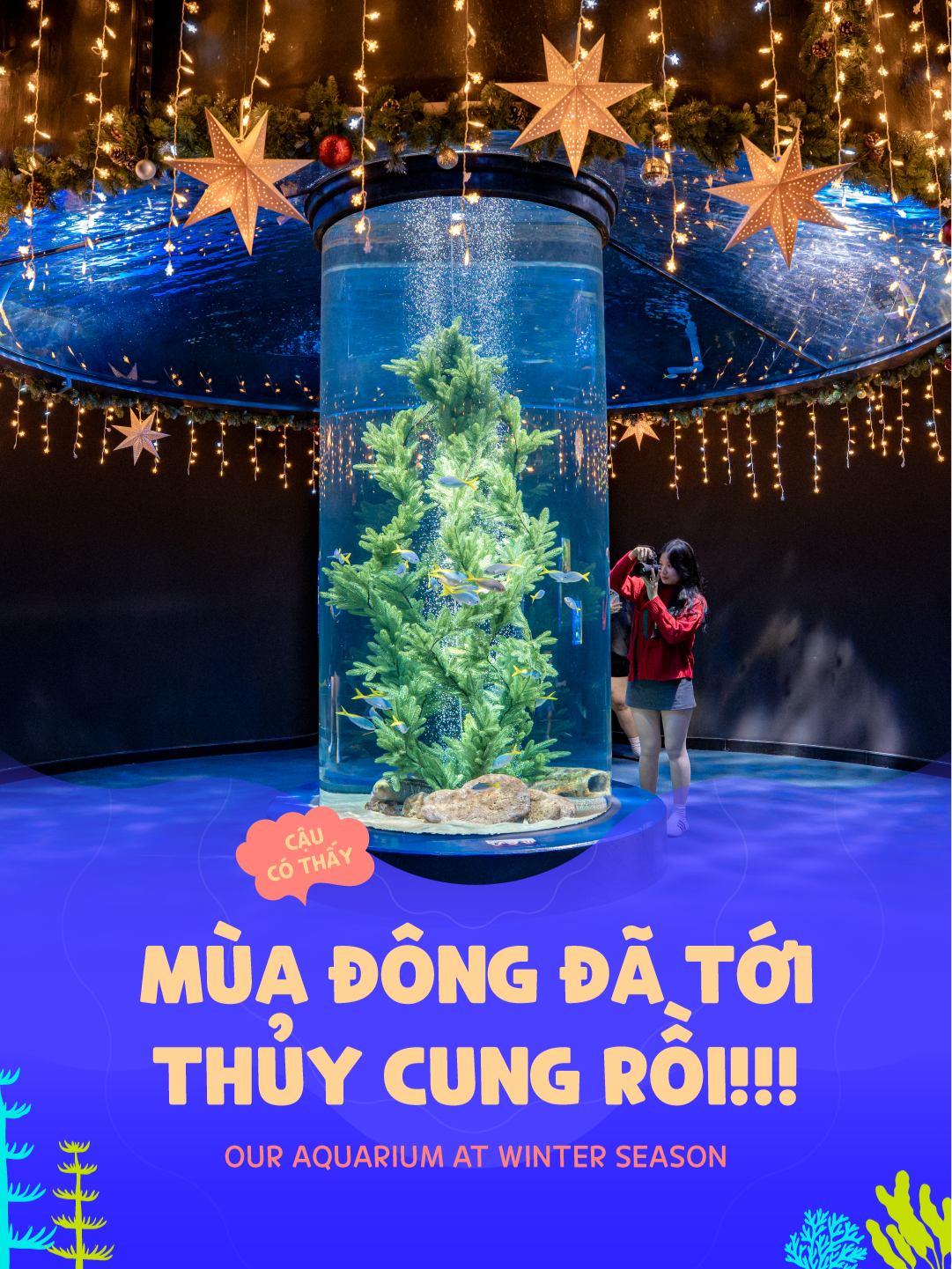 Thủy cung chúng tui đang 