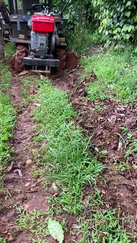 Mùa mưa đi làm khổ quá #cờ khí vinh quy 