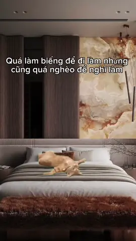 #vuinhon #haihuoc #meo #mememeo #dethuong