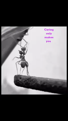 Replying to @jamesvictor207 It is always those with a heart of giving who are given little in life. #motivation #lifelessons #mrgoodvibesonly #inspiration #goodvibes 