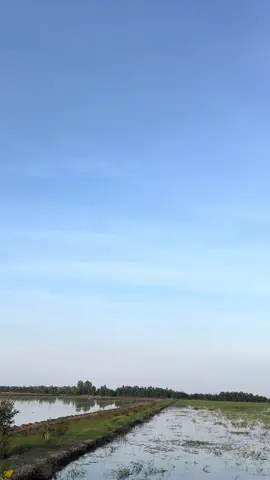 Dạo này ca căng quá ae#65jet2 #62longan #xedovietnam 