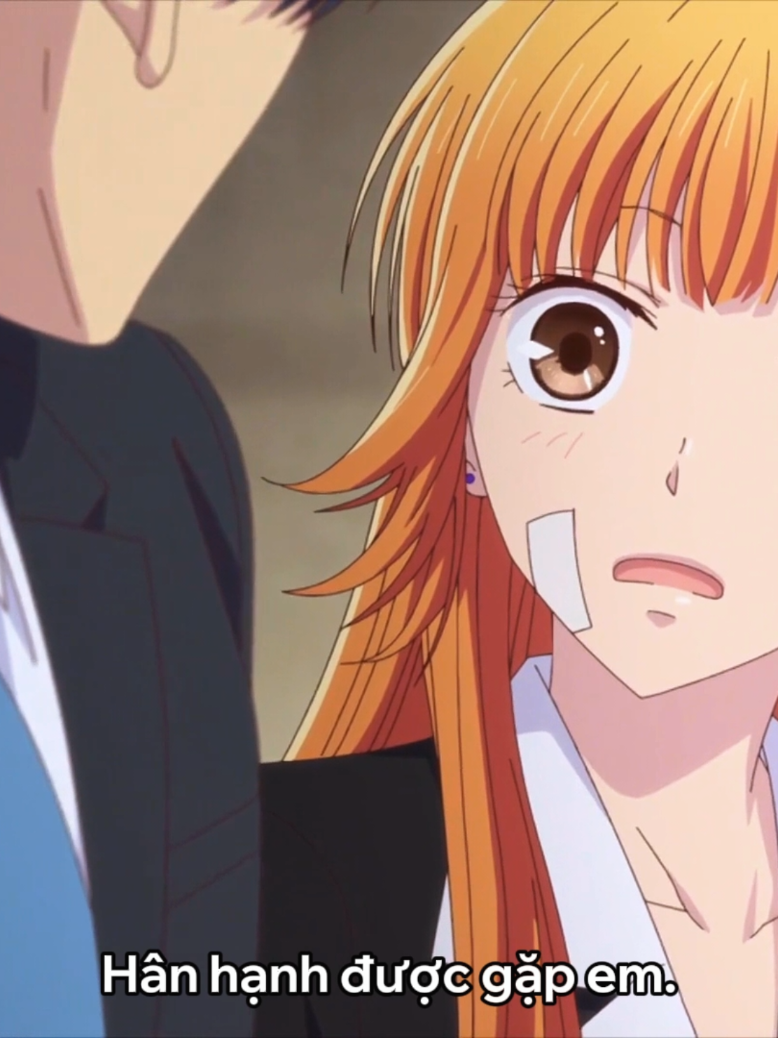 sự xuất hiện của người chồng và sự ra đời của con gái đã cứu rỗi cô ấy 2 lần  #fruitsbasket #animeedit #anime 