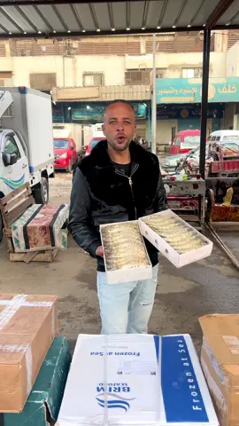 #الجمبري القشر #ببلاش في #قوةالمحيط #رأس ألسنه سوق العبور عنبر ٣ شركة #قوةالمحيط أولاد شحاتة