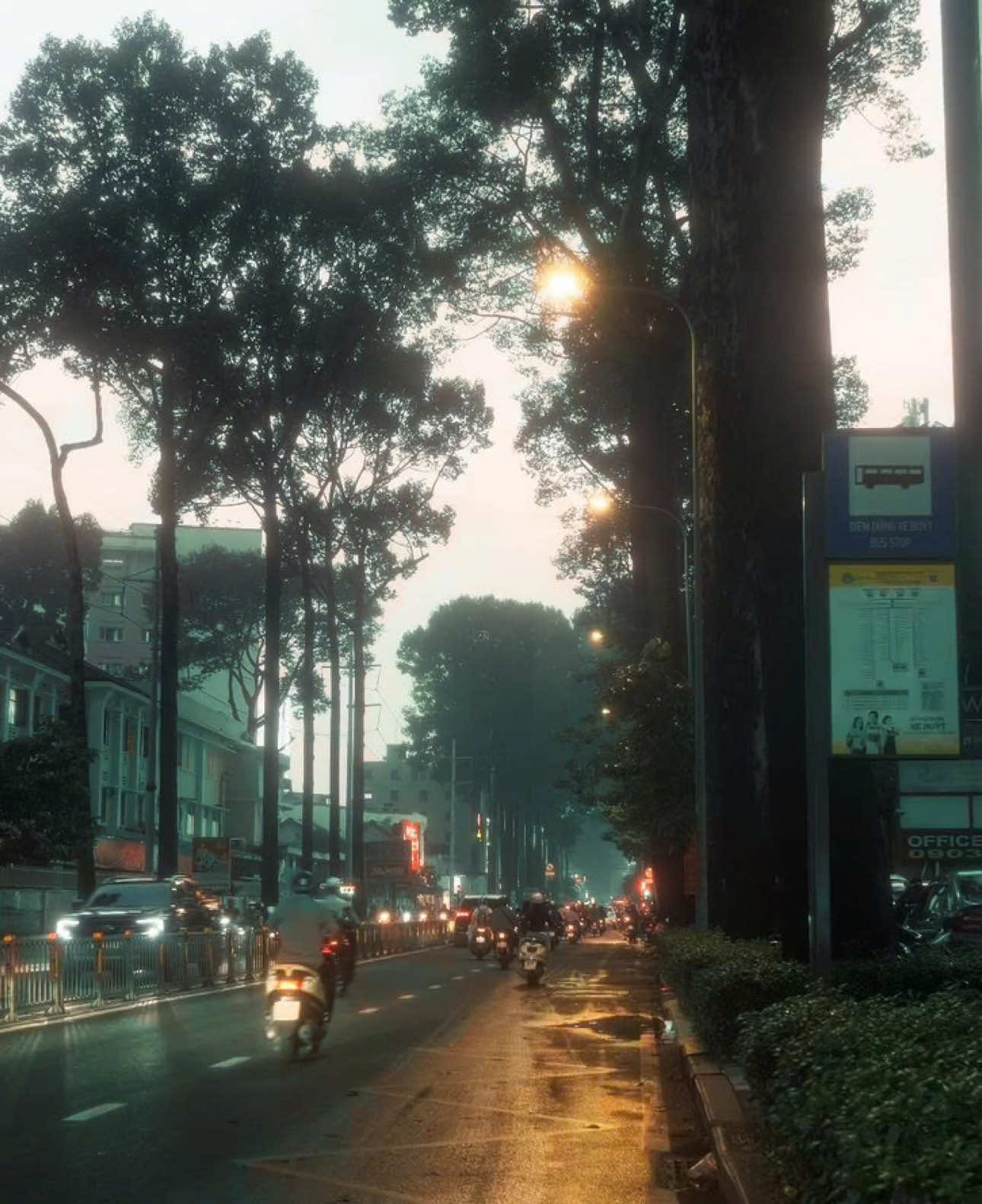 Mùa đông với bầu trời xám xịt... #xuhuong #fyp #trôi #buồn #podcast 