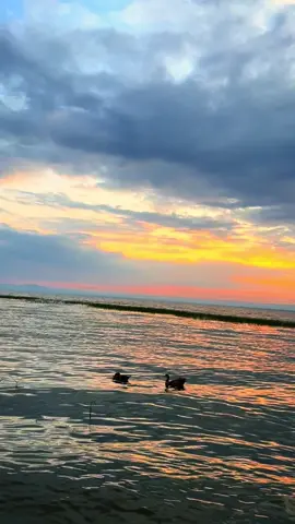 @Mention them 🥹🫶@Nardi_A 