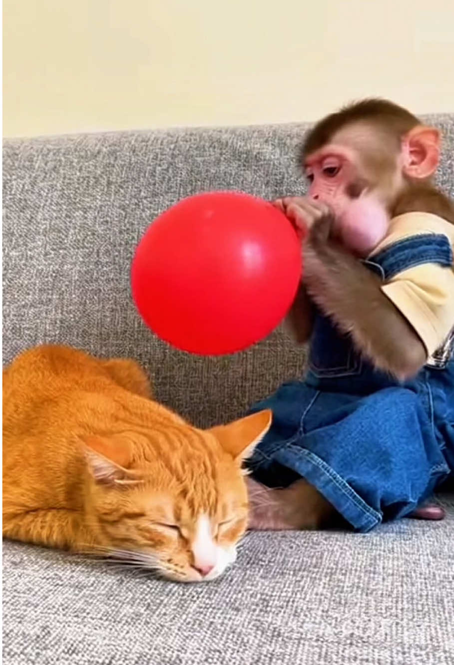 Funny reactions of pets when they are frightened 😂 🐶 😺 #fyp #pet #funnyvideos #AI #reaction 