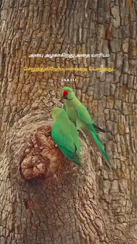 #INDIA_AJMEER🇮🇳 