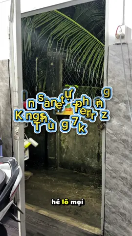 Sắm hẵng 1 thùng 7kg để về lại cái sàn nhà tắm cho mọi người cùng xem sự khác nhau giữa làm mỏng và làm dày thì sẽ như thế nào 