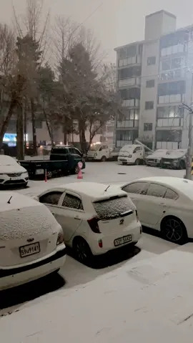 ඇස් ඉස්සරහ හැමදේම නැති වෙලා ගිය මිනිස්සුන්ට, හිටියටත් වඩා  සිය දහස් ගුණයකින් ආයෙත් නැගිටින්න වාසනාව හා ශක්තිය ලැබෙන්න ඕනේ..❤🥺🙏#CapCut 