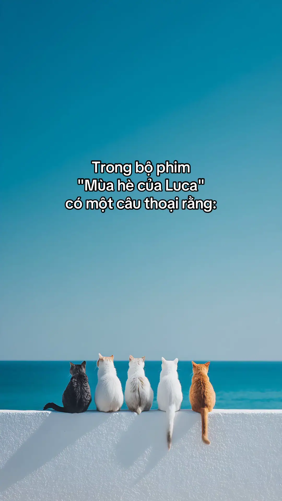 Chúc cho chúng ta sẽ luôn đúng hướng đến với mục tiêu của cuộc đời. #tríchdẫnhay #quotes #camxuc #fyp #xh