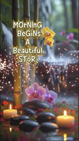 Good morning! Wishing you a day filled with positivity, joy, and success. May your morning be bright and your day even brighter. Have a wonderful day ahead!