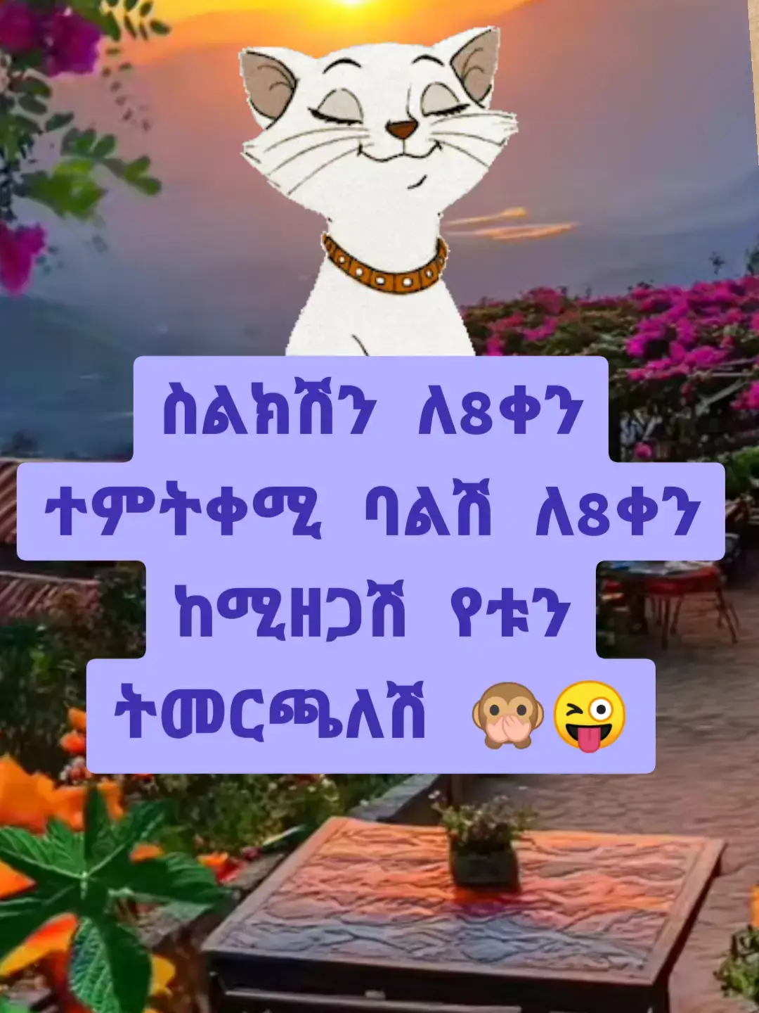 🙊ምረጡ?